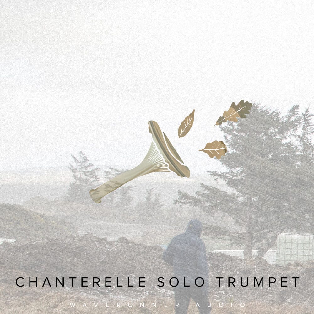 Chanterelle Trumpet | Waverunner Audio